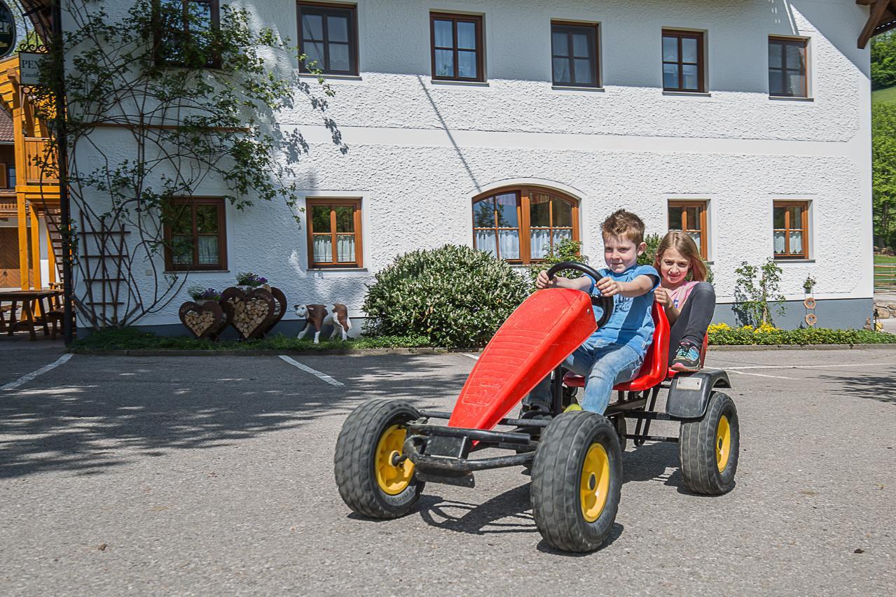 Ferienhof Pfaffenlehen Maria Neustift Exterior foto